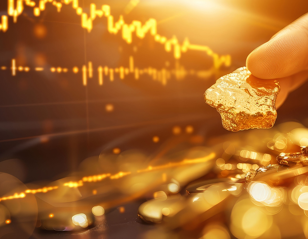 Who should use bullion storage